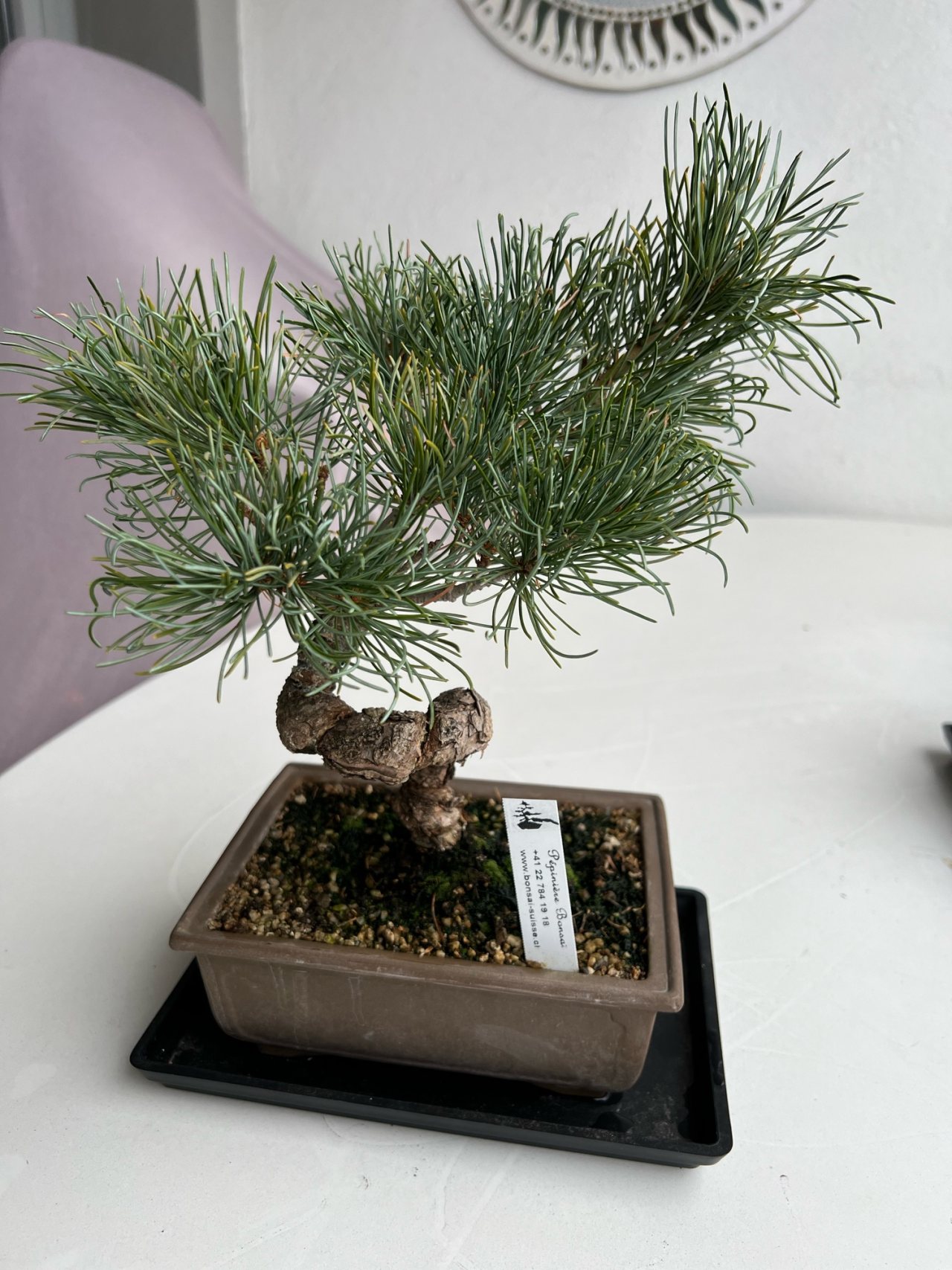 Photo 5