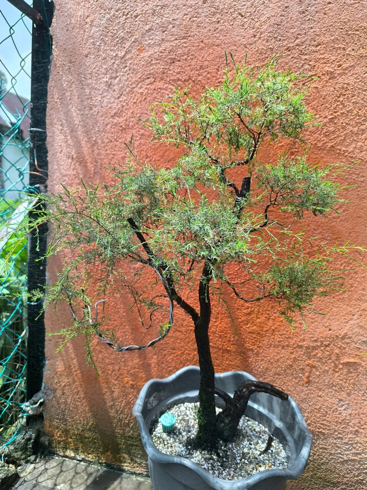 Photo 4