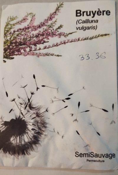 Вереск (Calluna vulgaris) семена