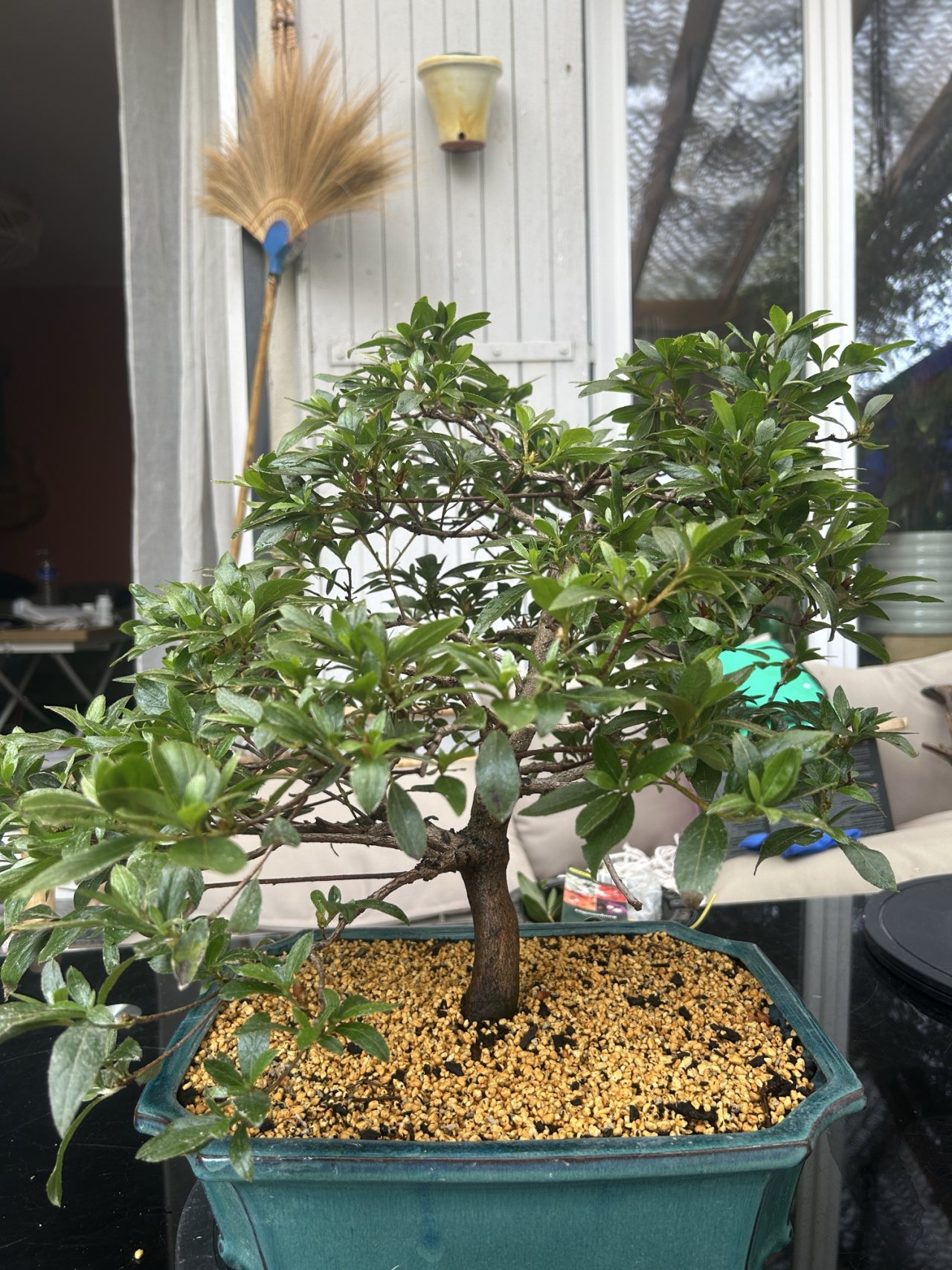 Photo 26