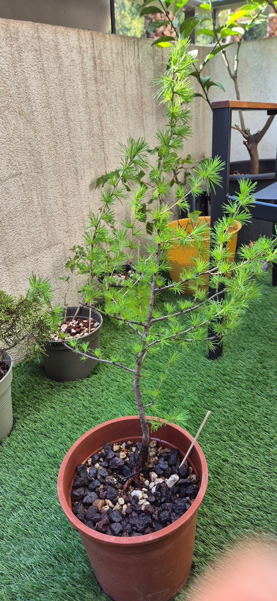 Photo 4
