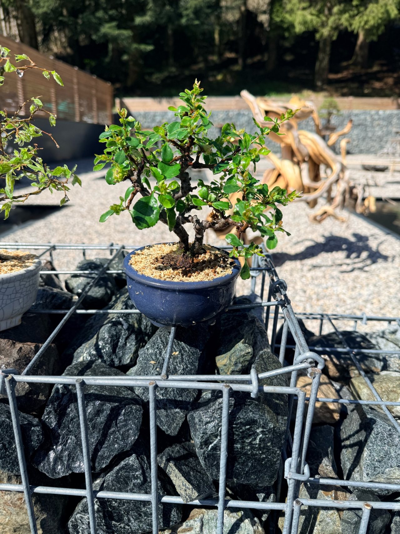 Photo 19