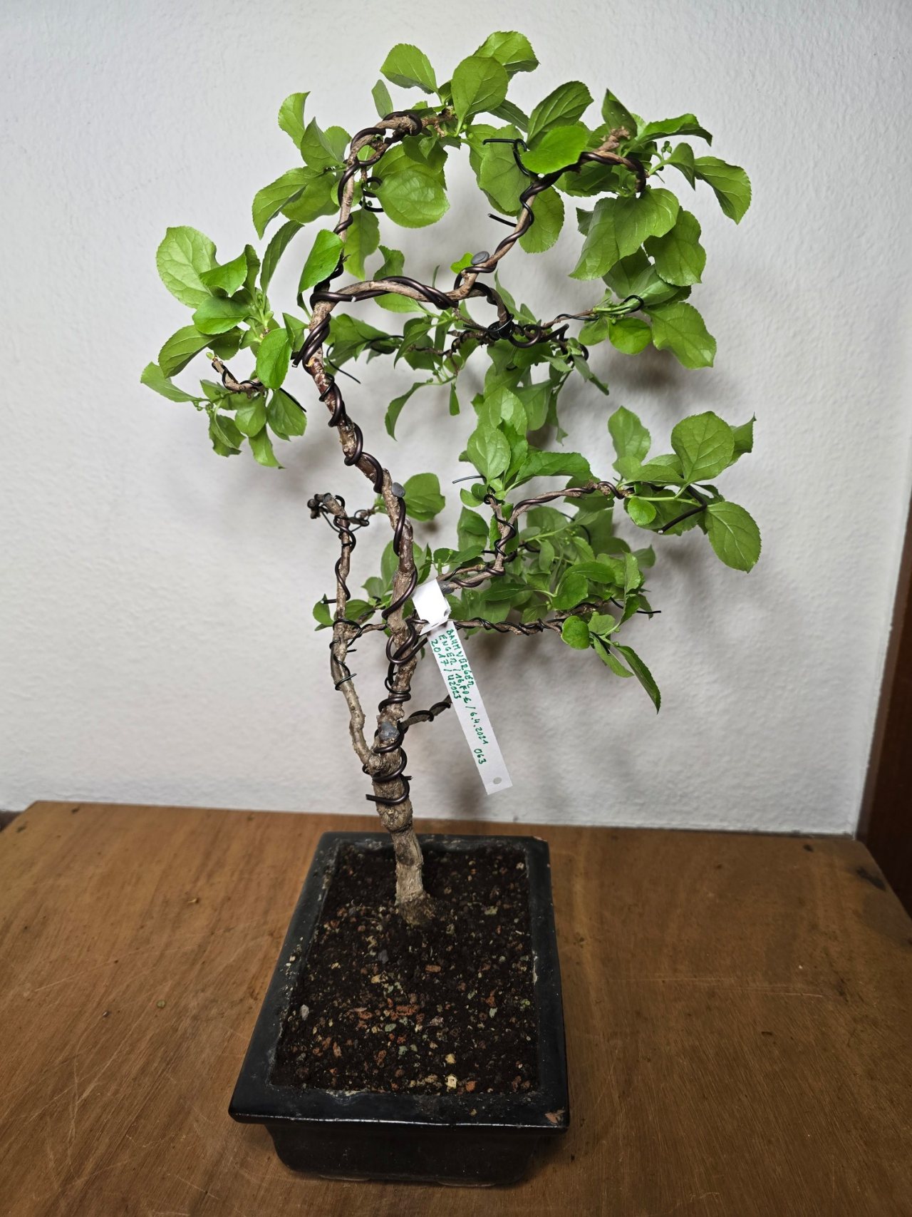 Photo 6