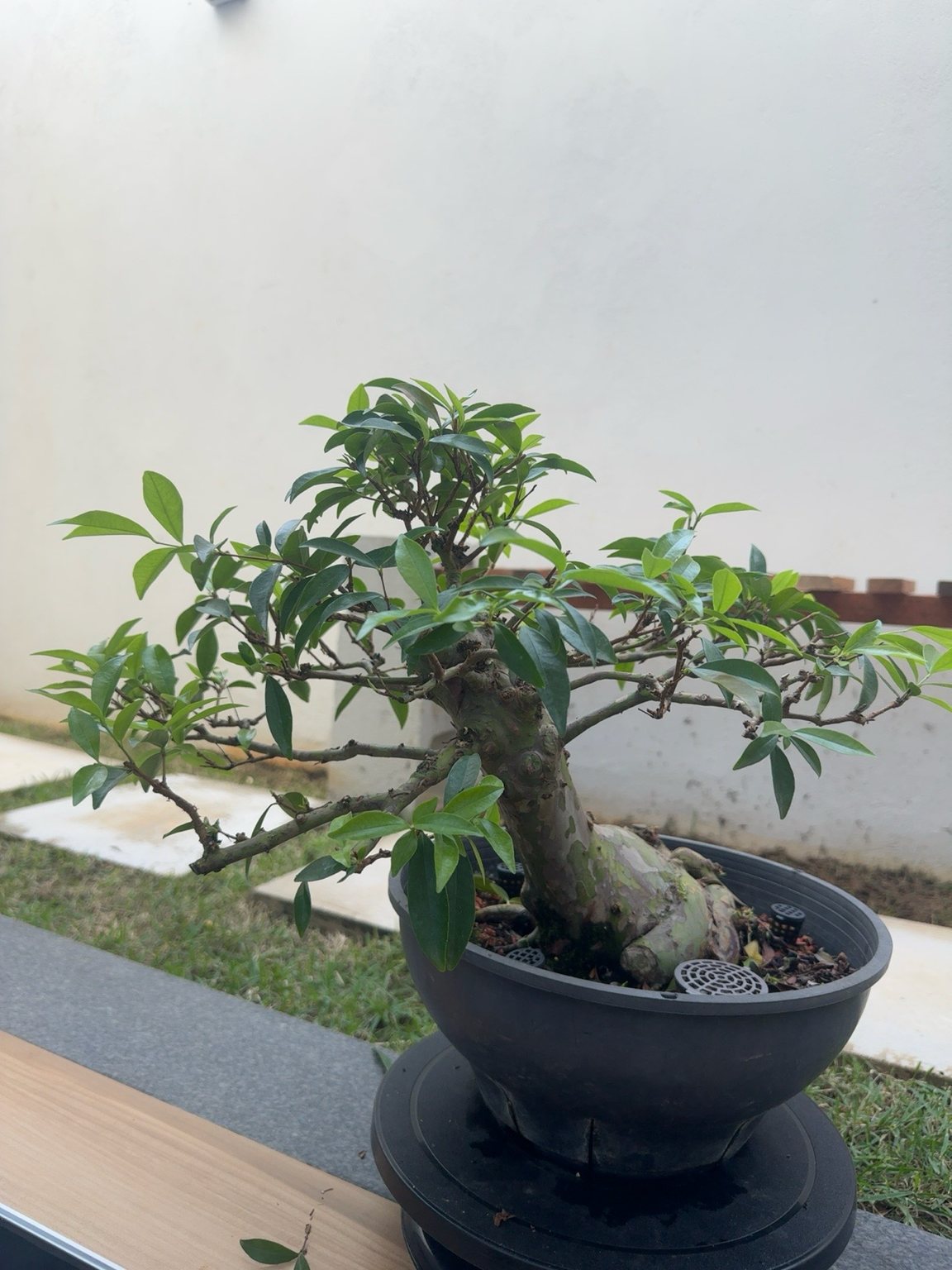 Photo 20