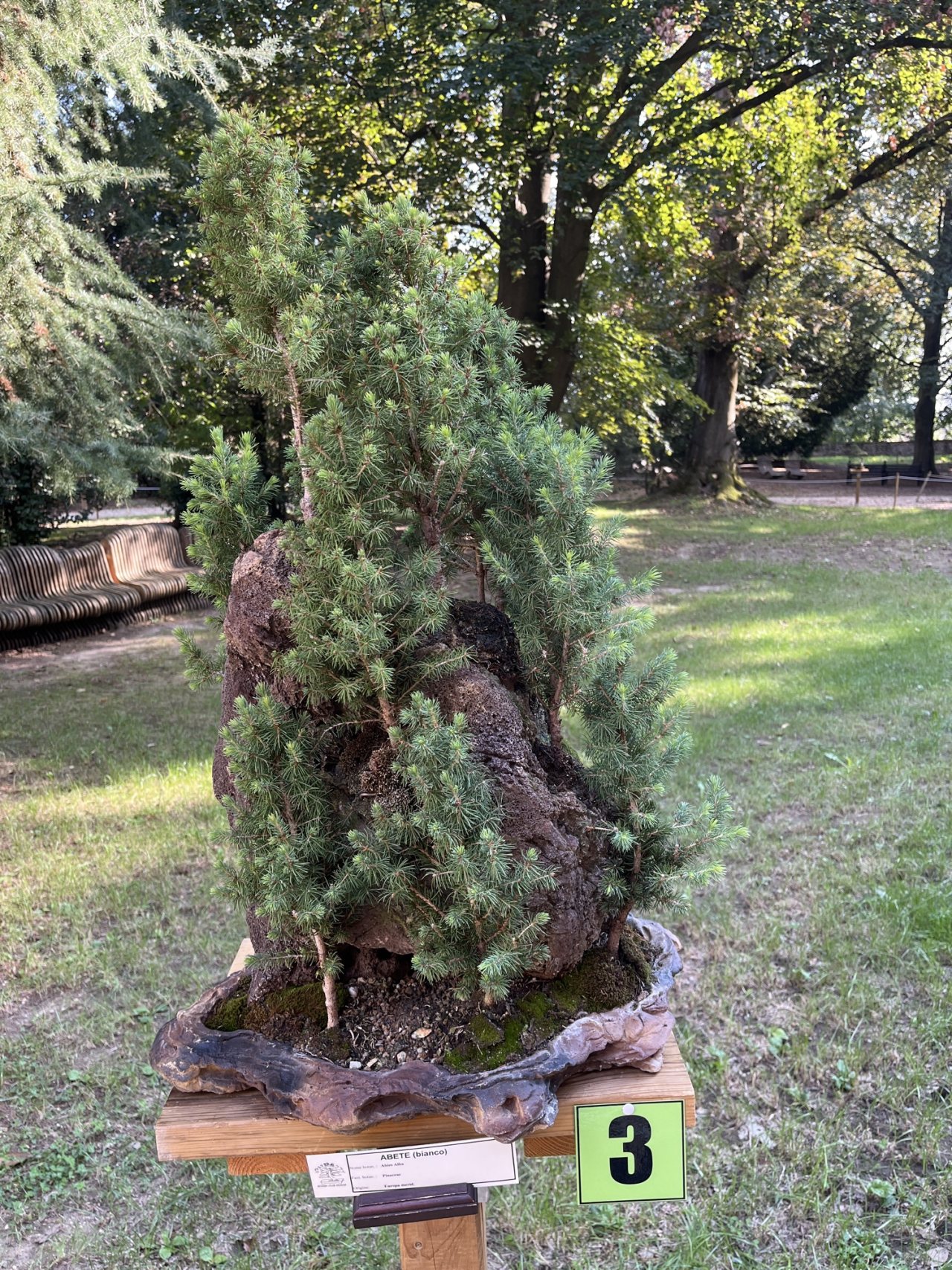 Photo 18