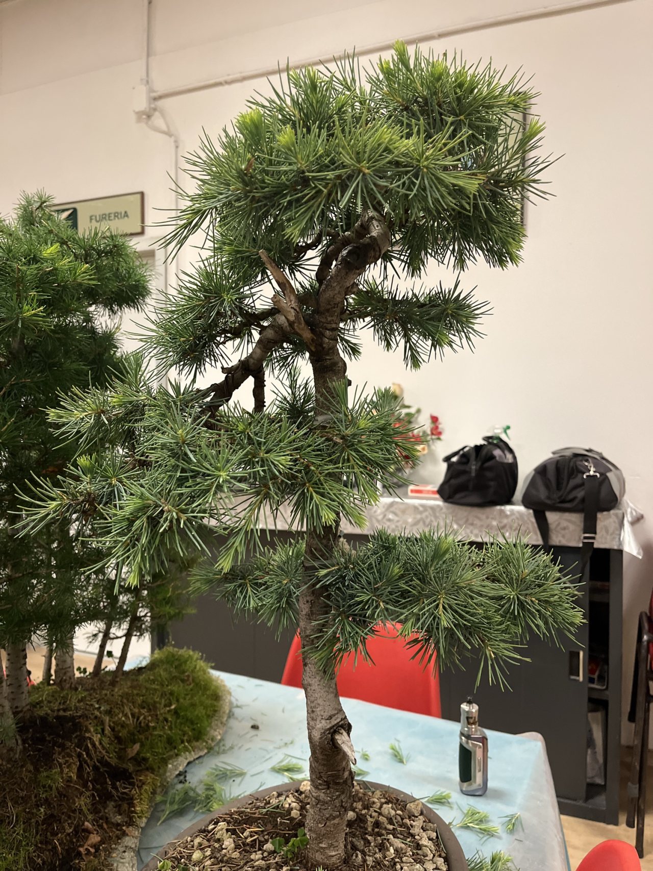Photo 18