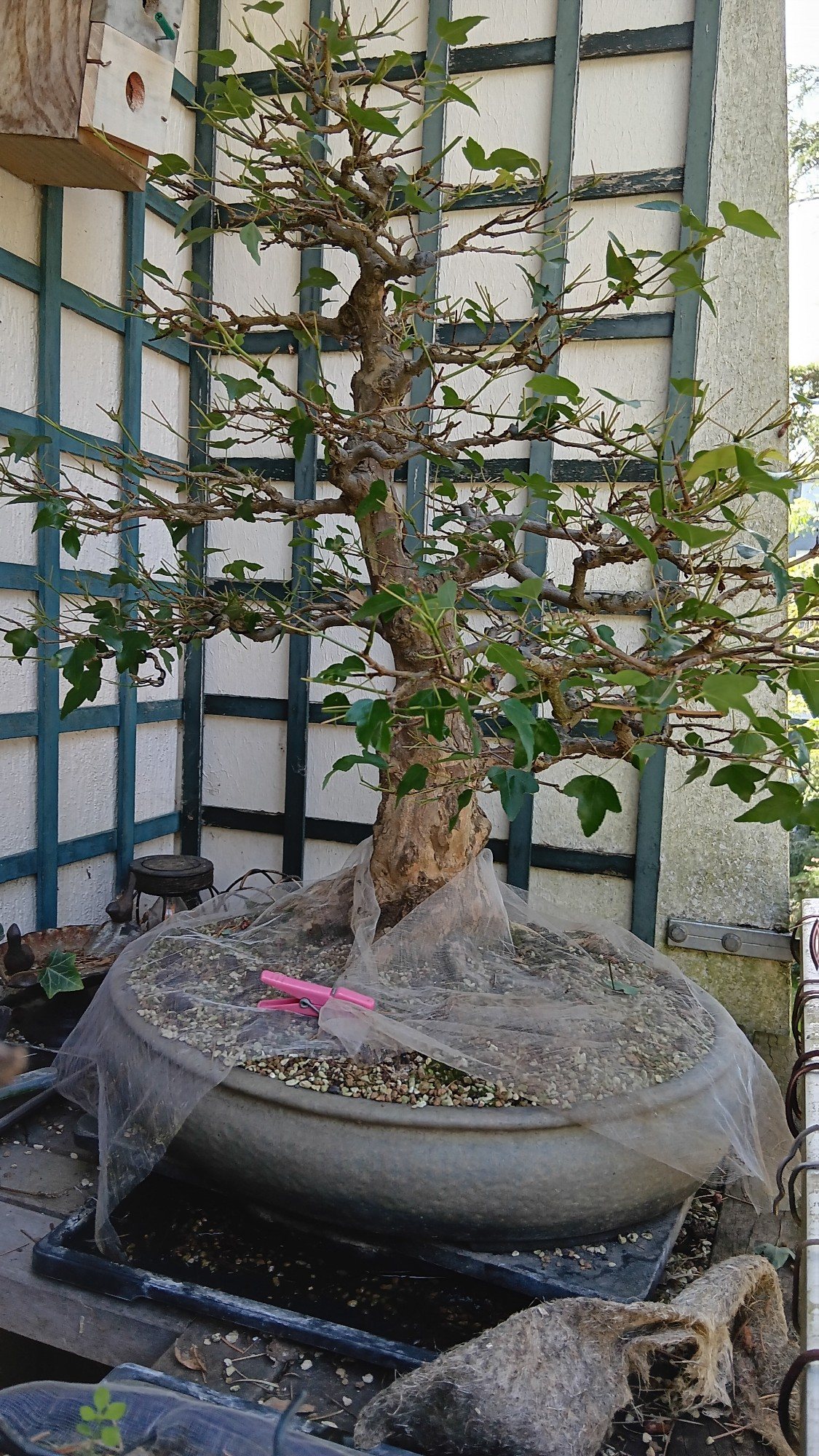 Photo 13
