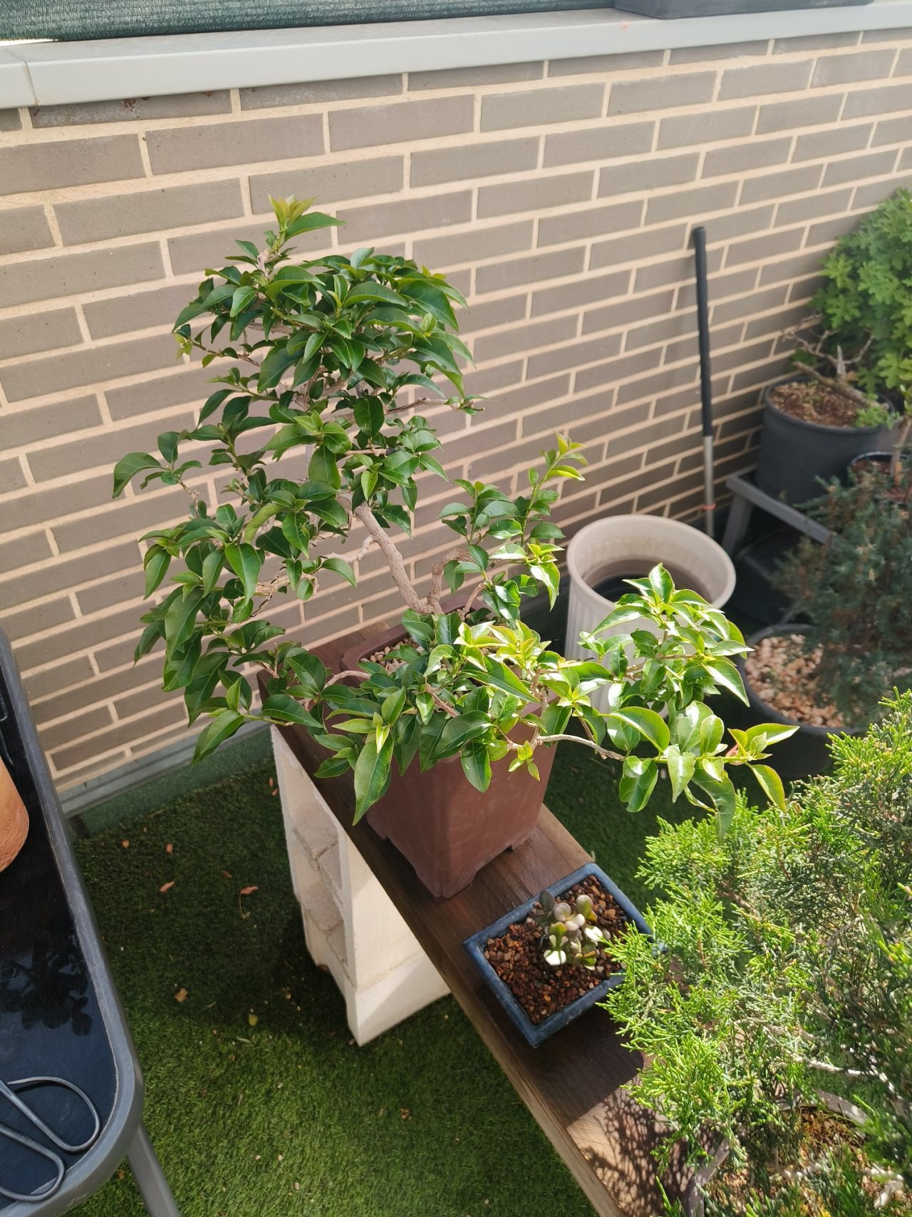 Photo 13