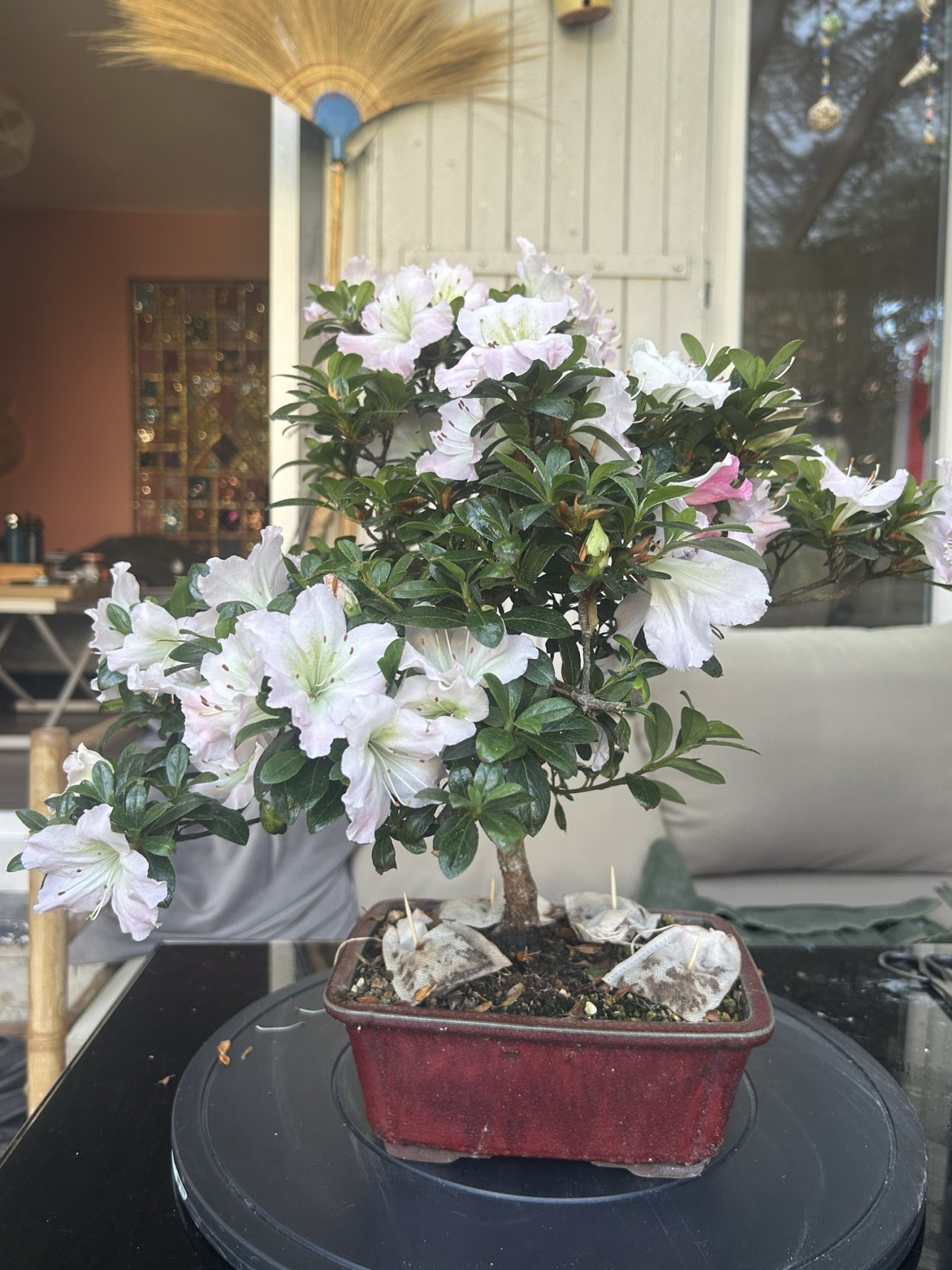 Photo 21