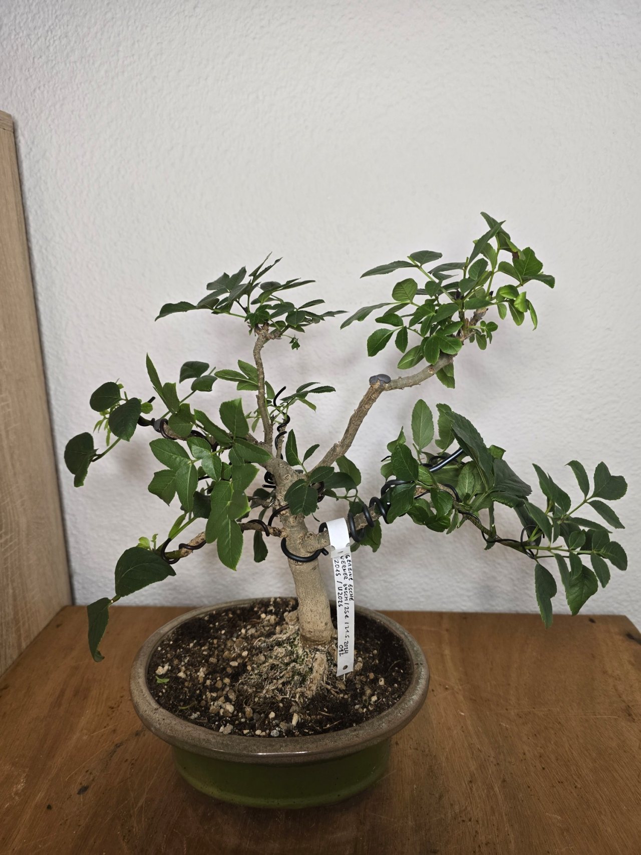 Photo 10