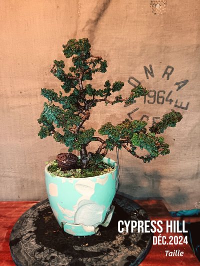 Cypress Hill