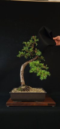 Lainnya - 01/05/23 - Photo 1/2