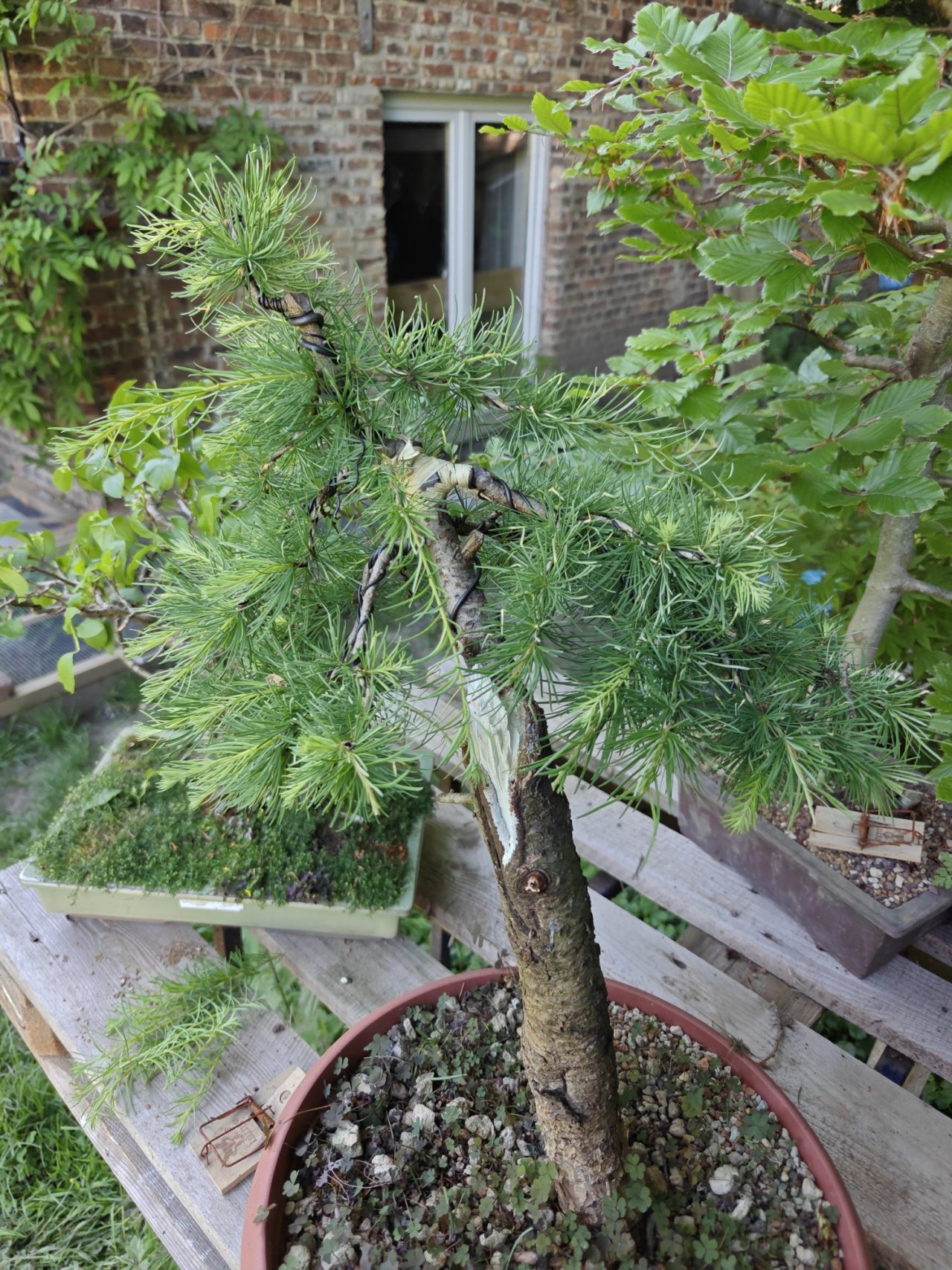Photo 3