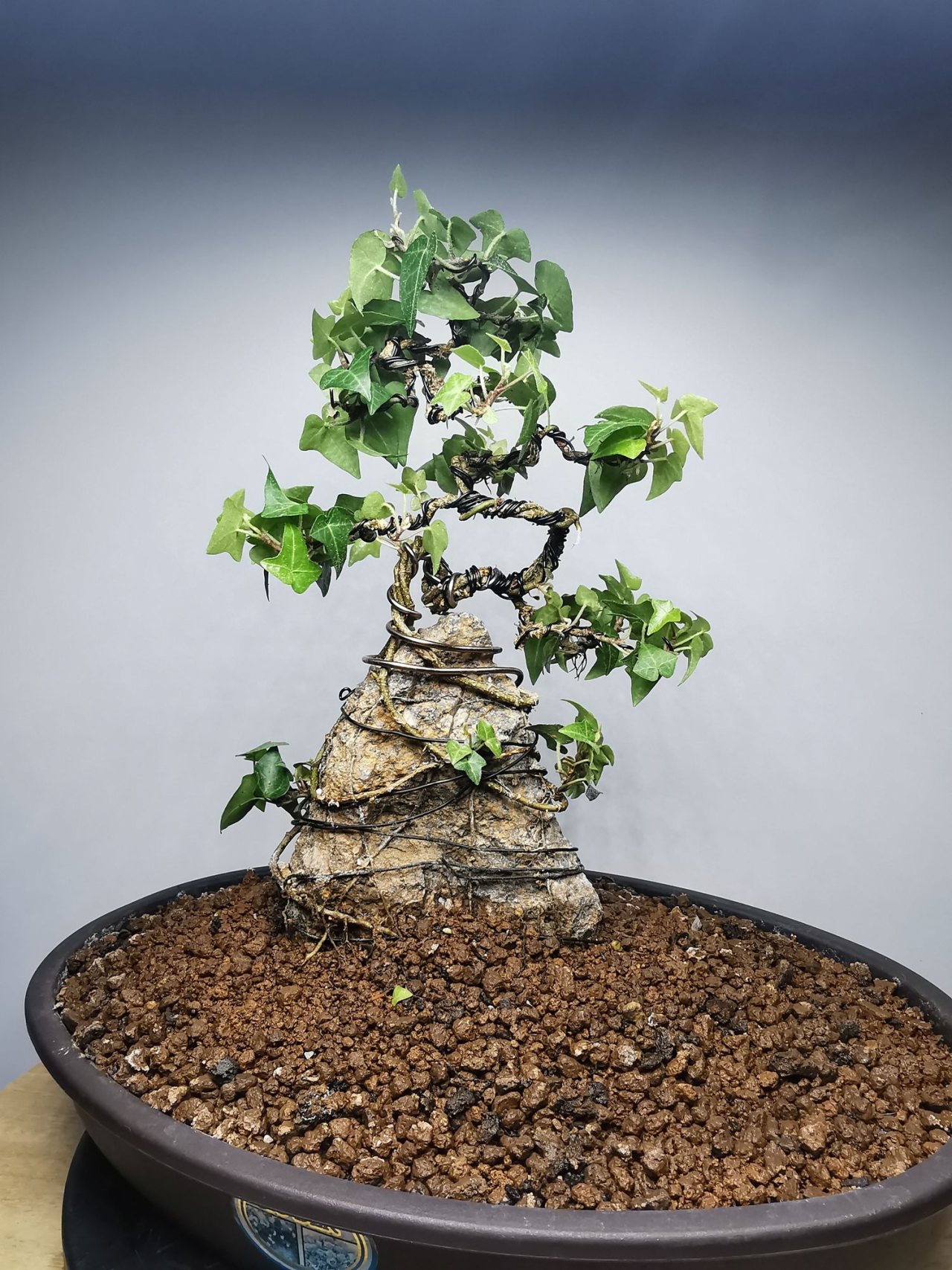 Photo 20