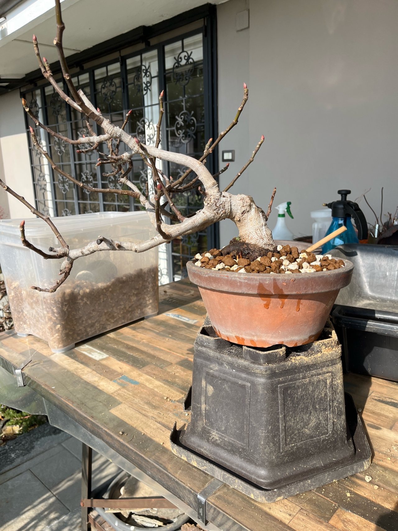 Photo 19