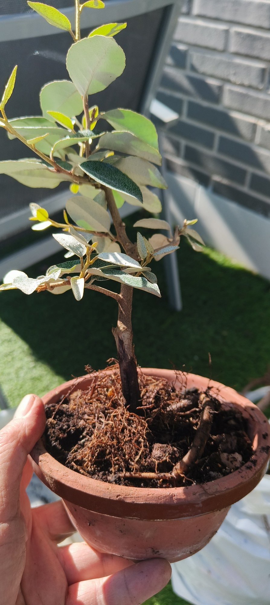 Photo 14