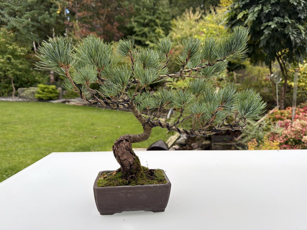 Photo 6