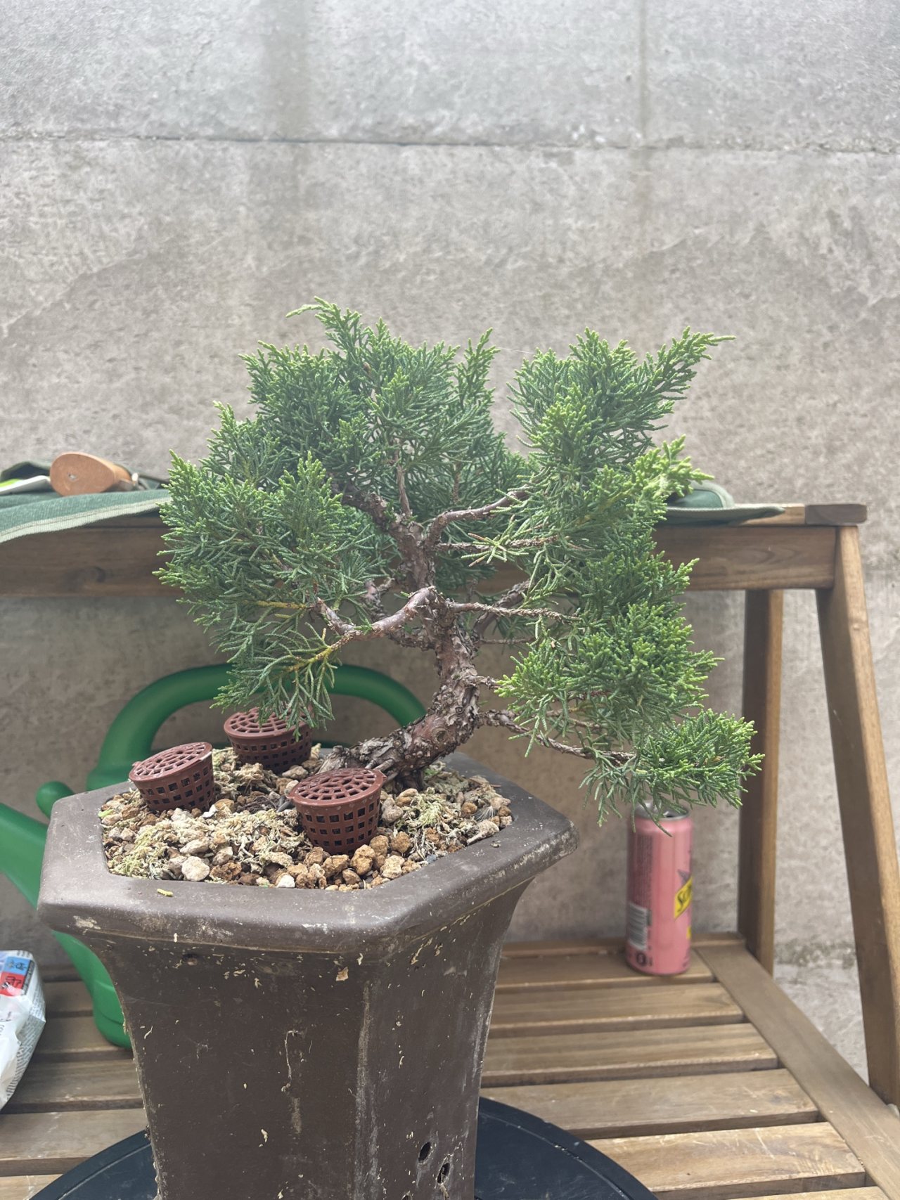 Photo 18