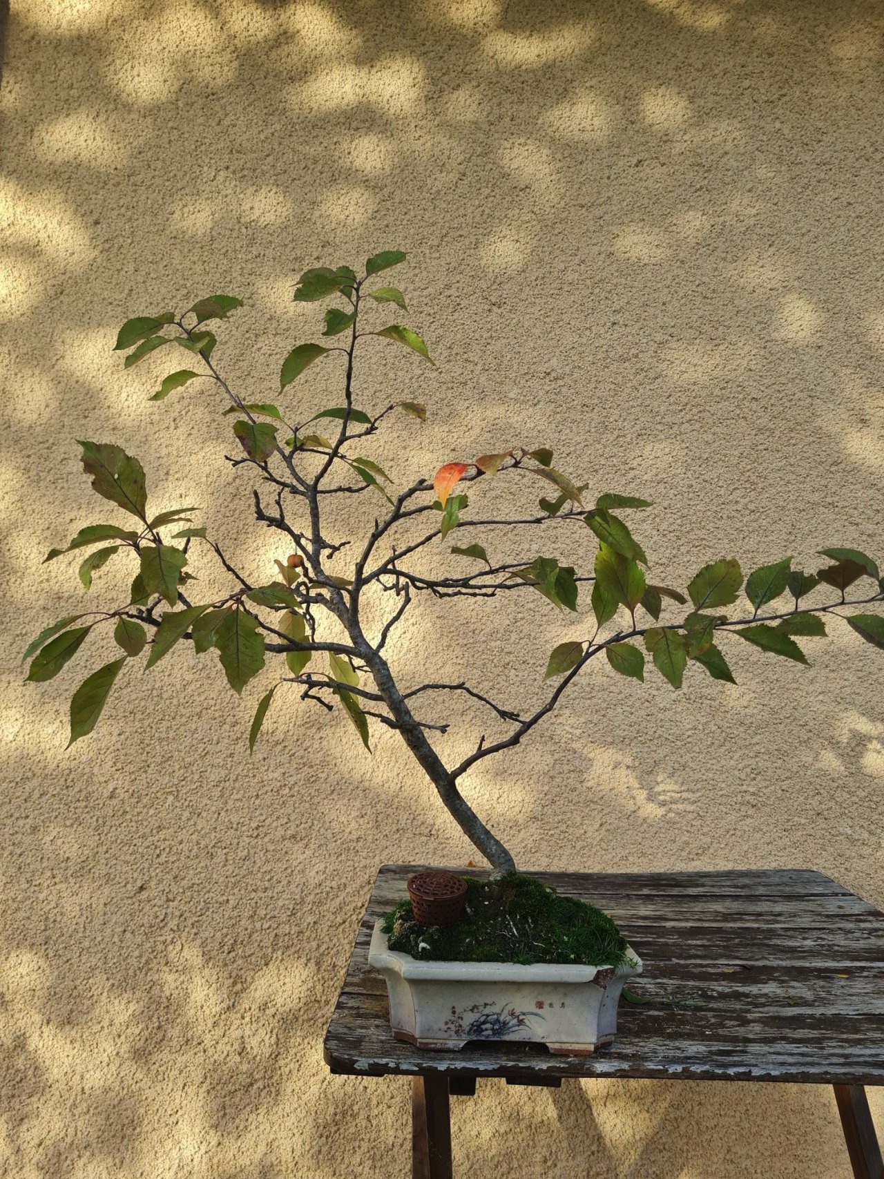 Photo 6