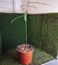 Umtopfen - 09.02.26 - Photo 1/1