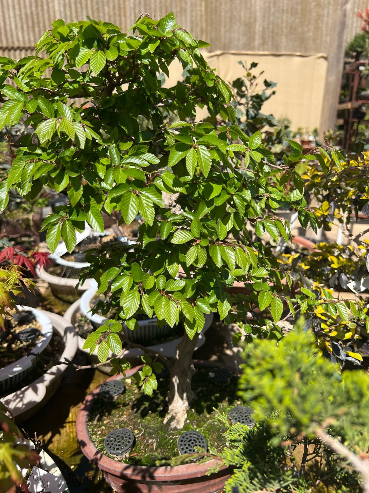 Photo 13