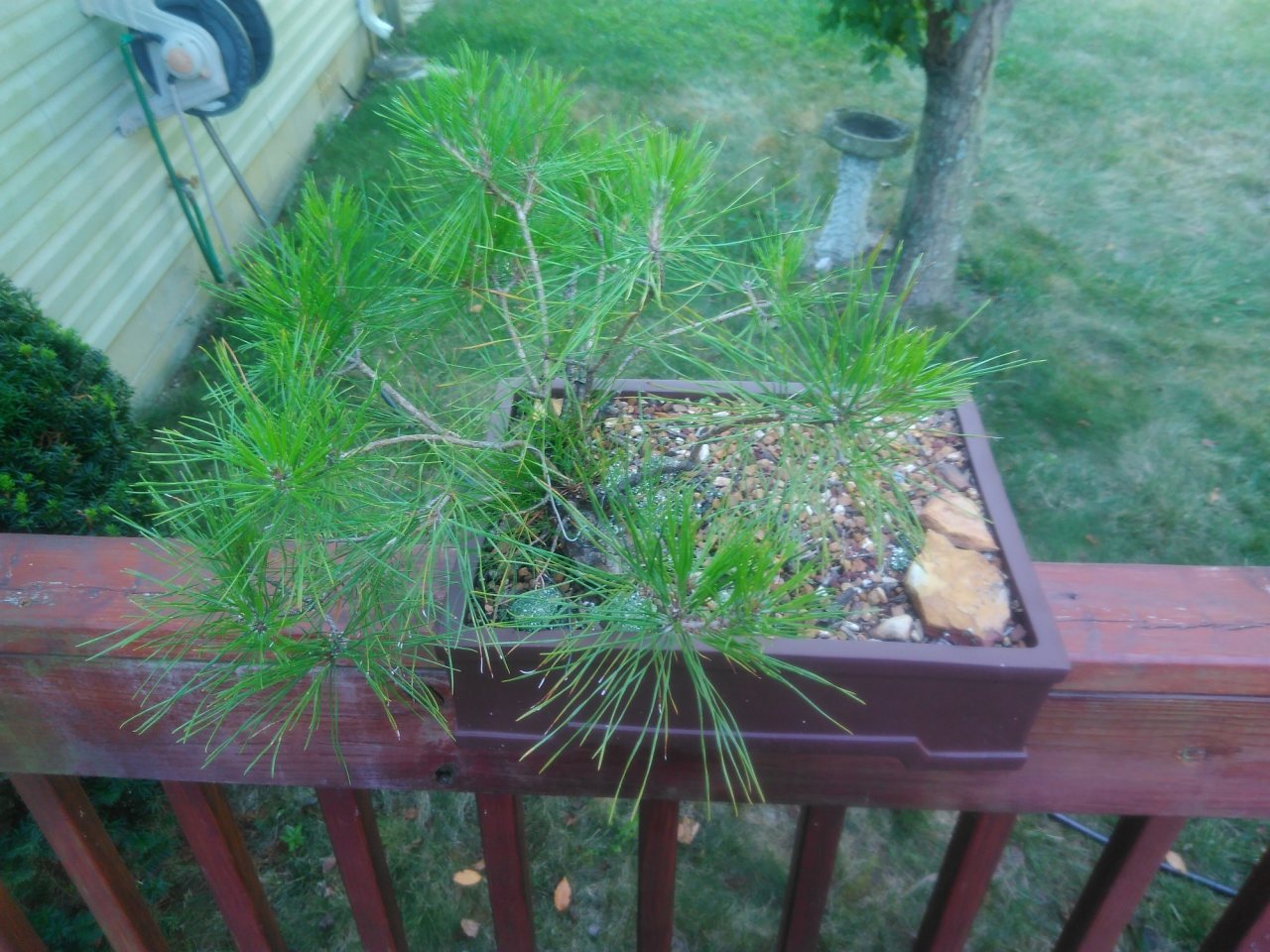 Photo 3