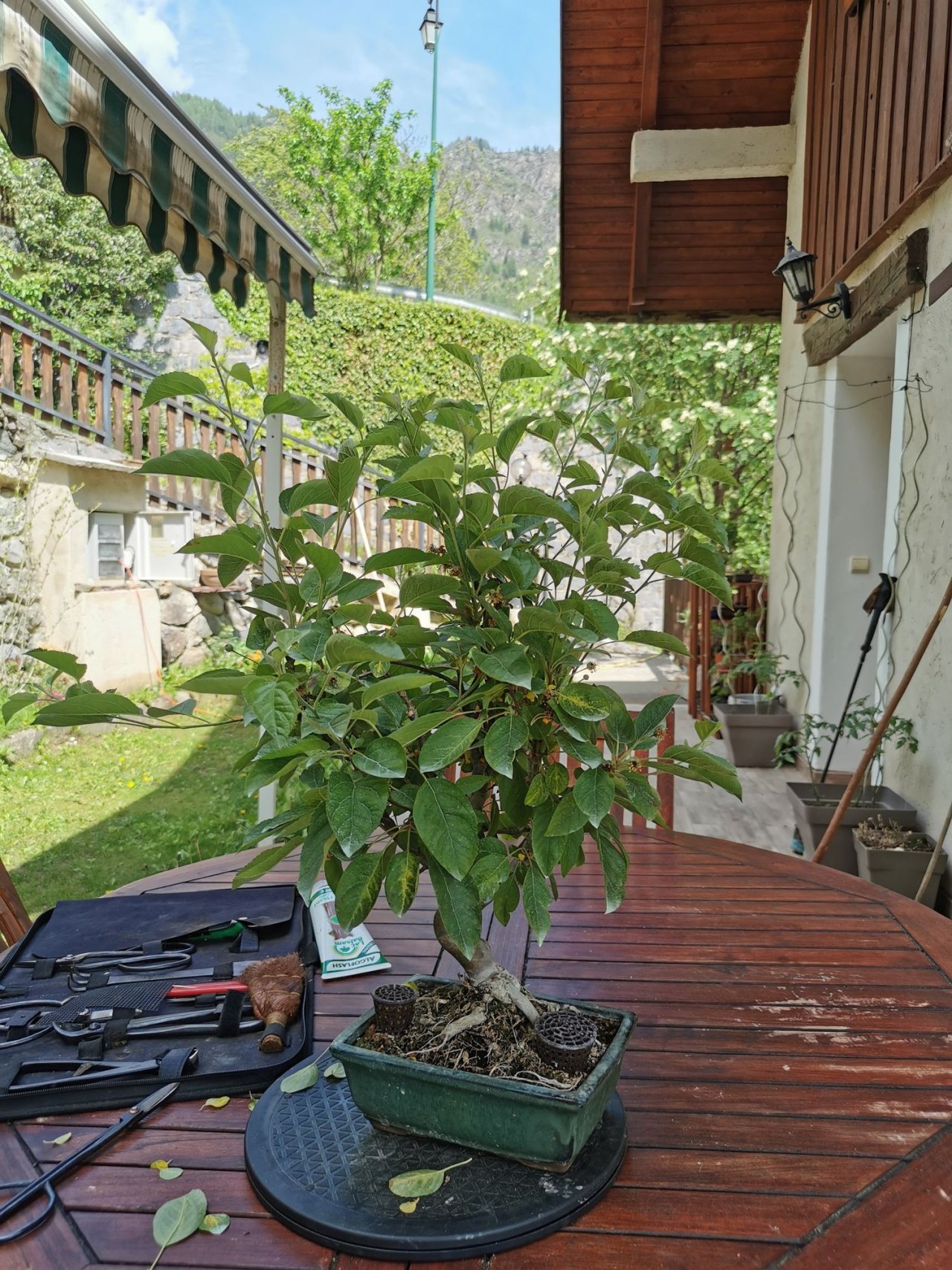 Photo 2
