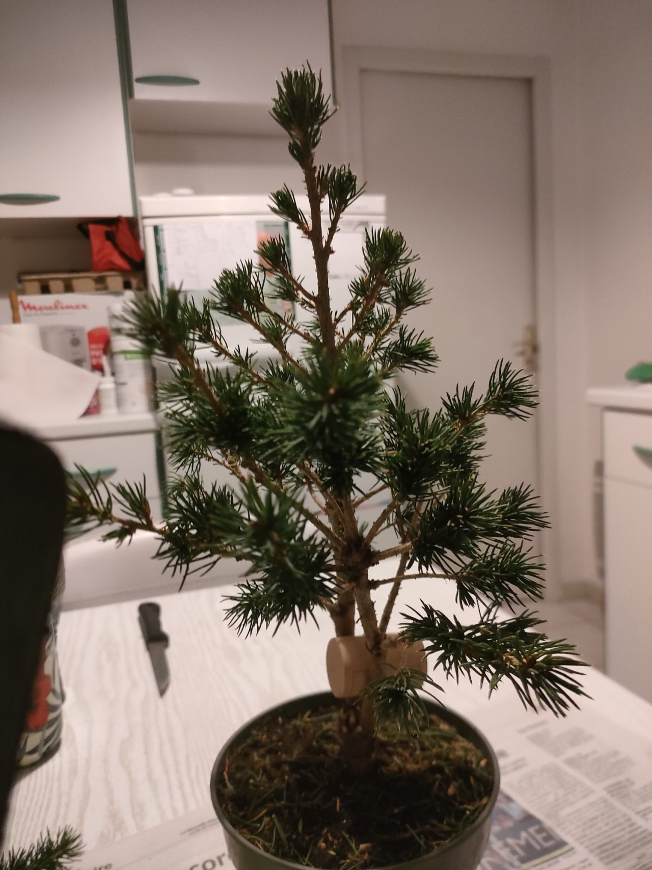 Photo 8