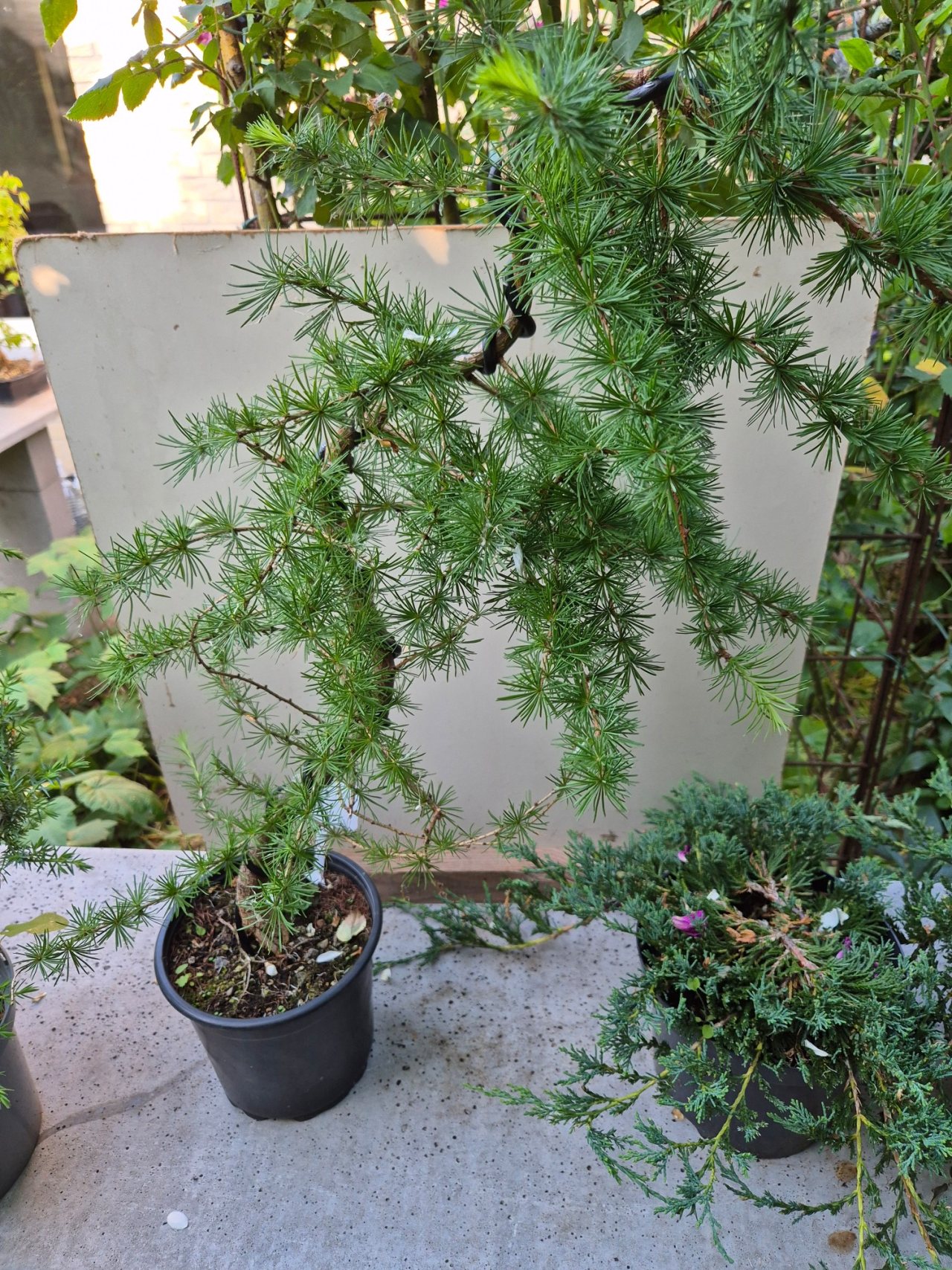 Photo 3