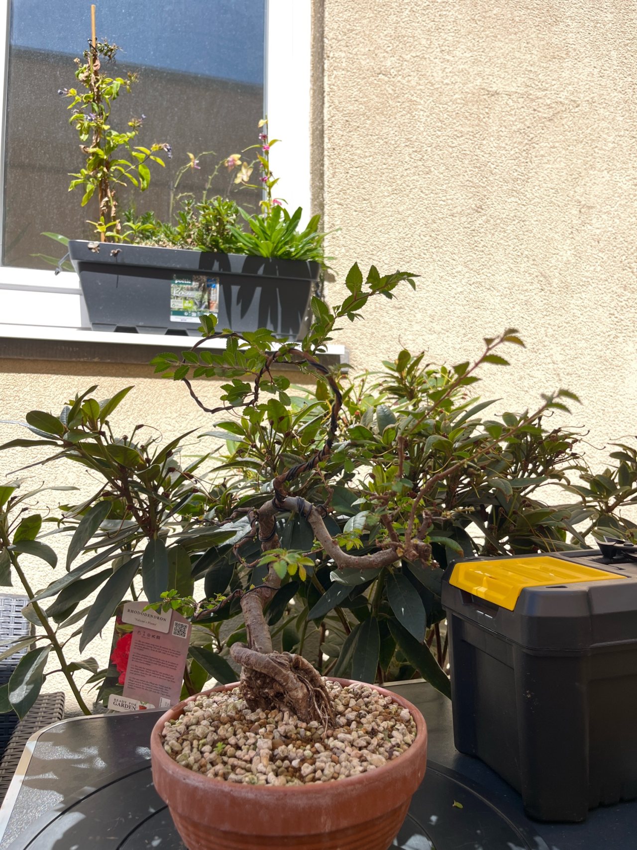 Photo 20
