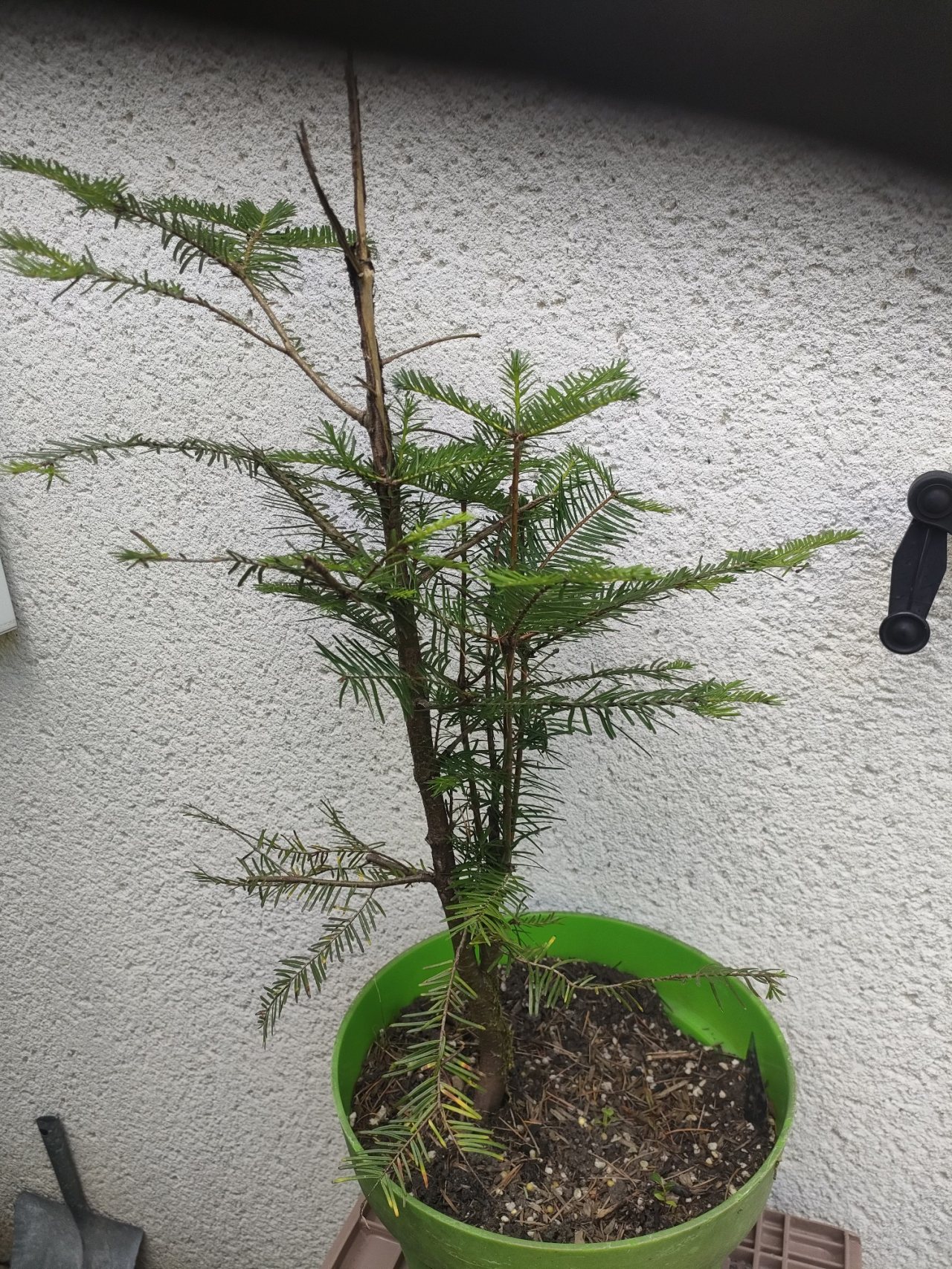 Photo 6