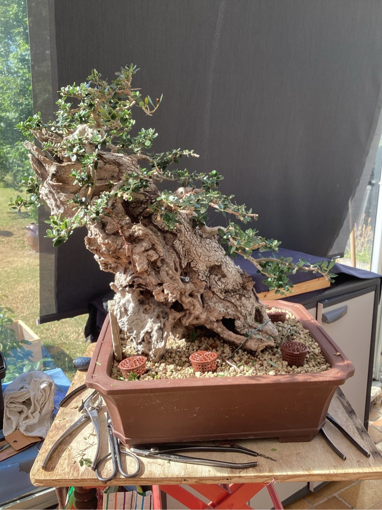 Photo 2