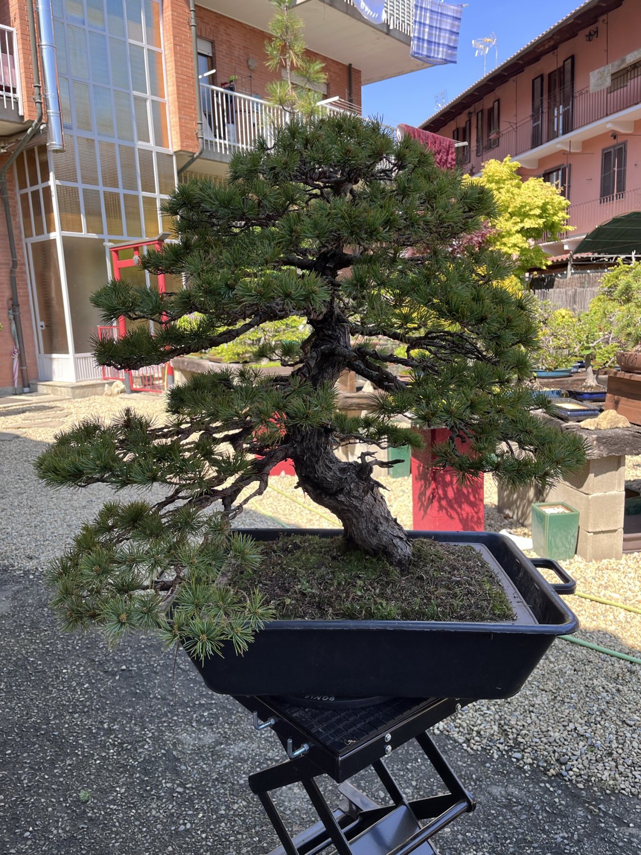 Photo 19
