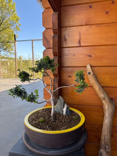 L’arbre des Échos