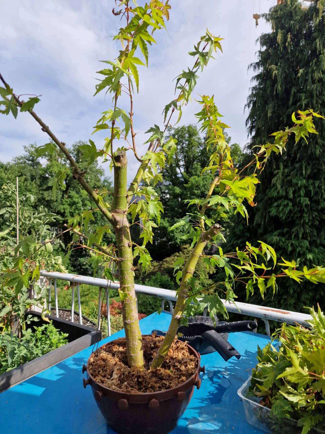 Photo 6