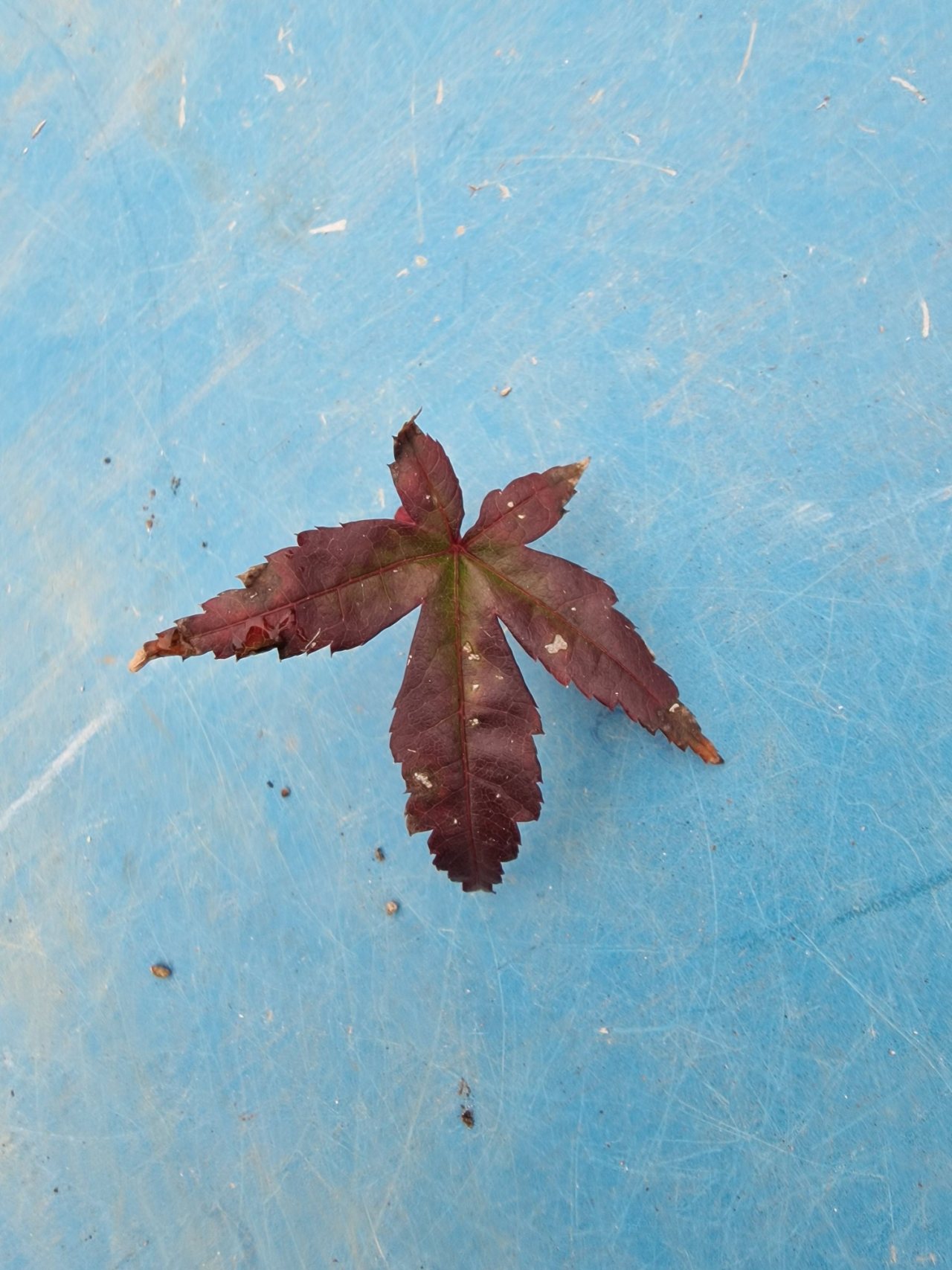Photo 17