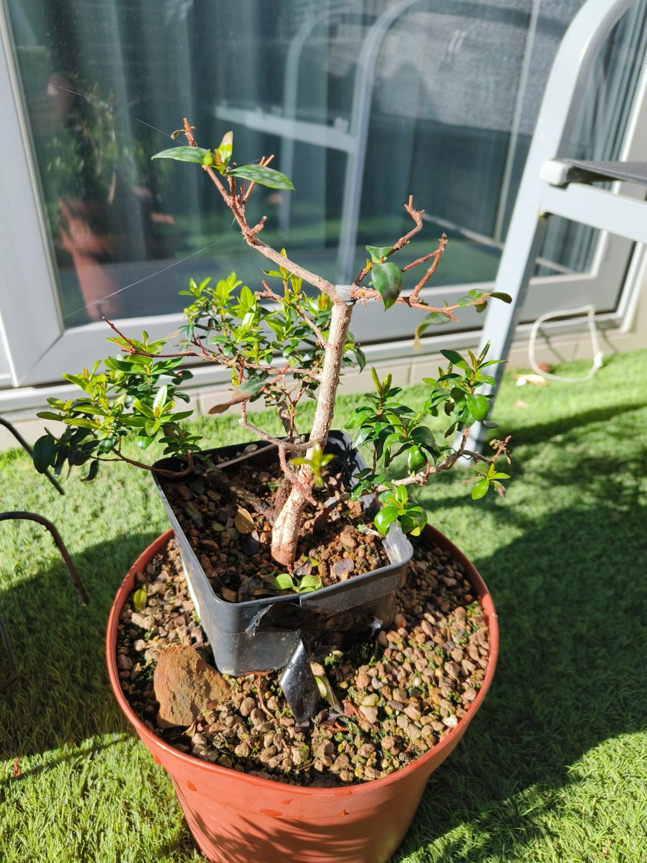 Photo 23
