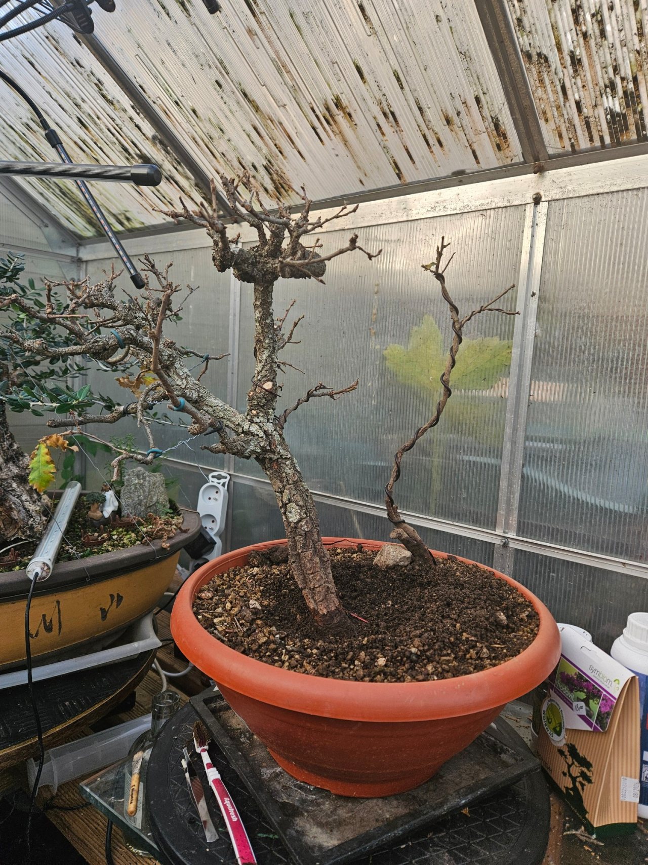Photo 12