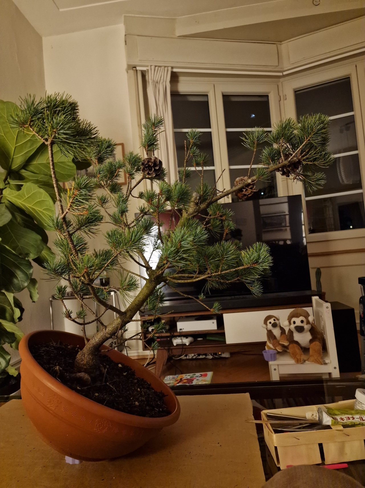 Photo 23