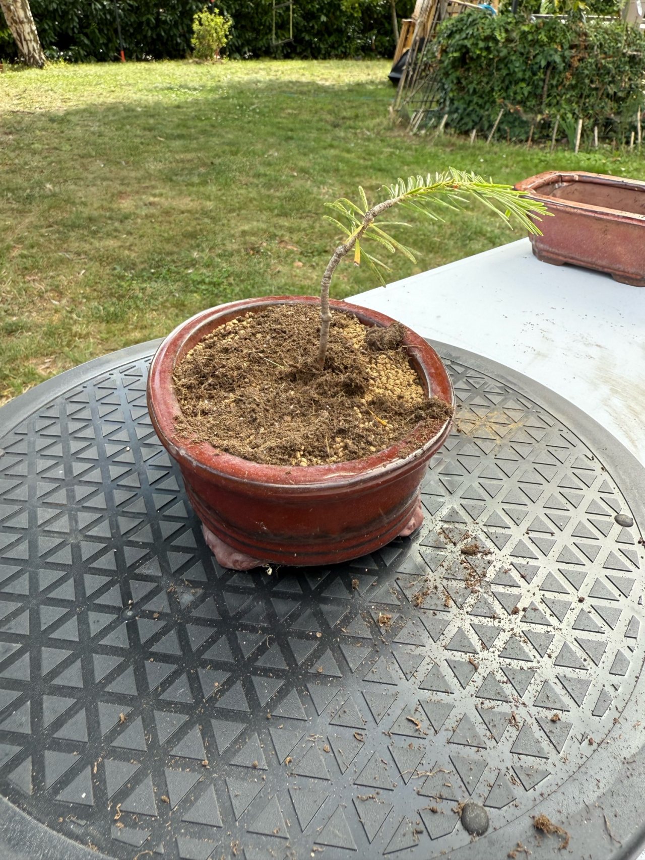 Photo 6