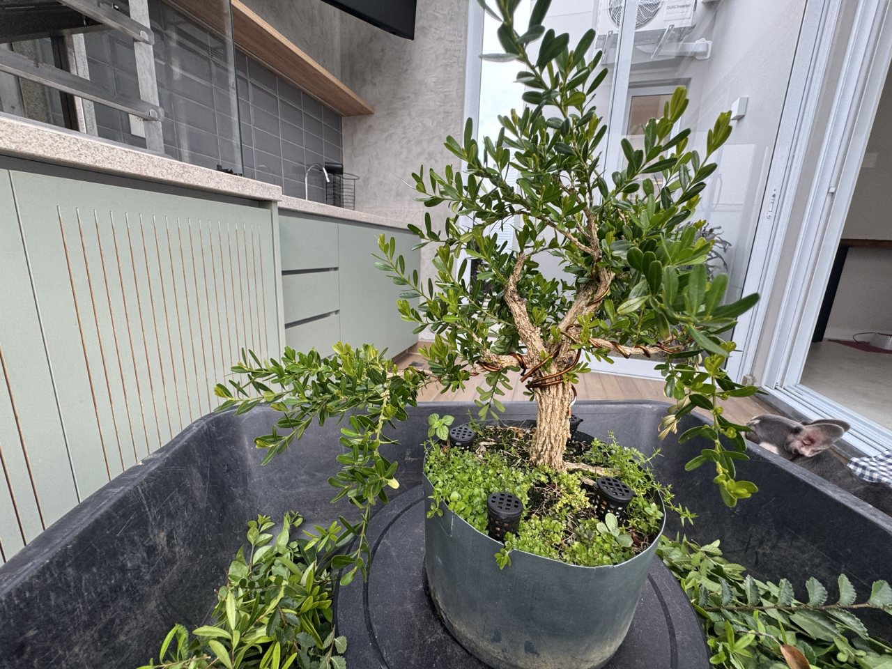 Photo 21