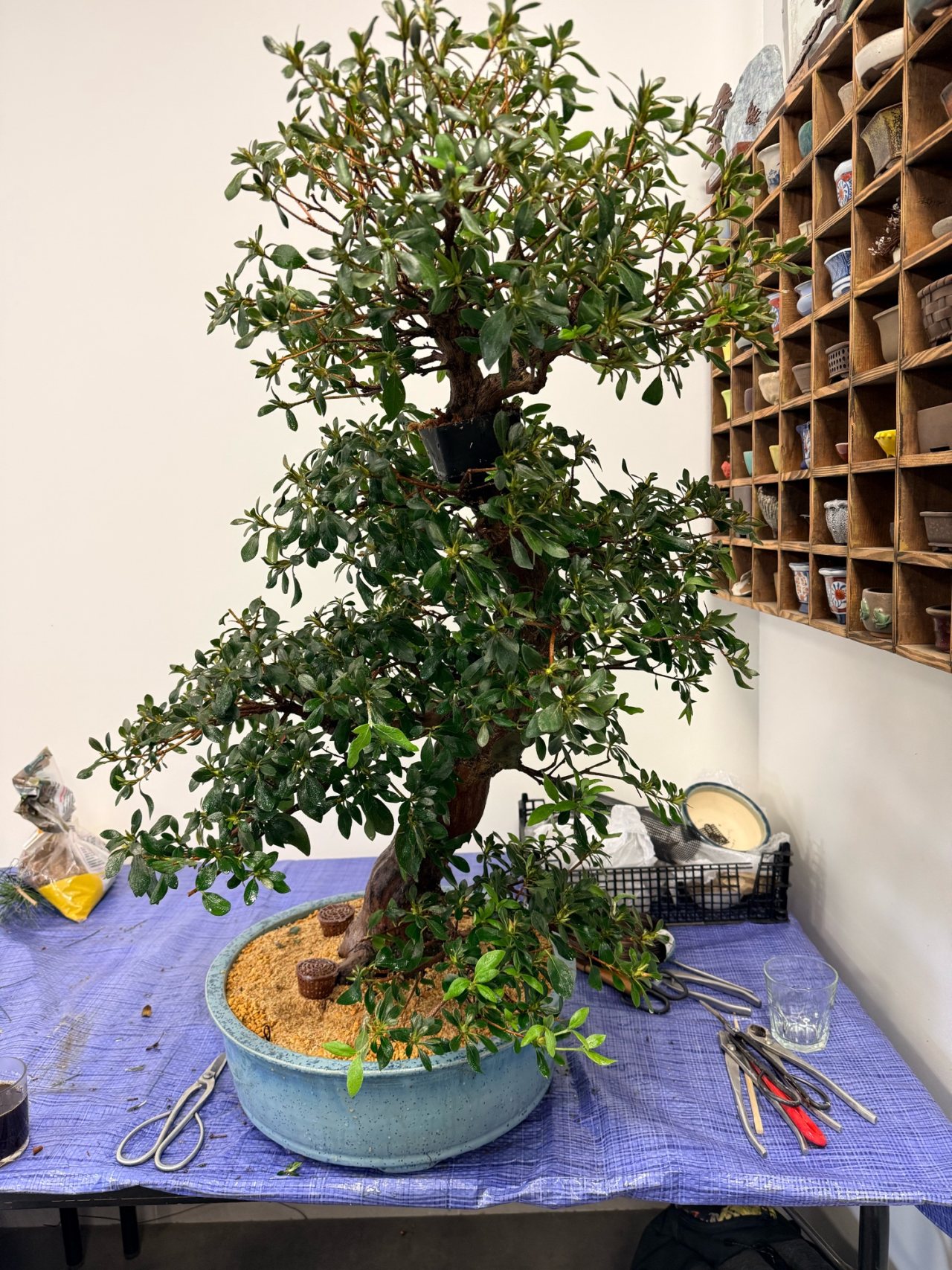 Photo 12