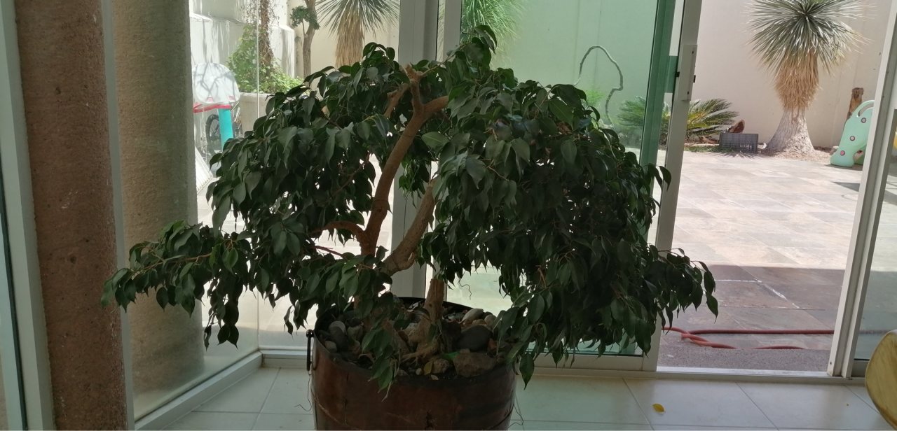 Photo 17