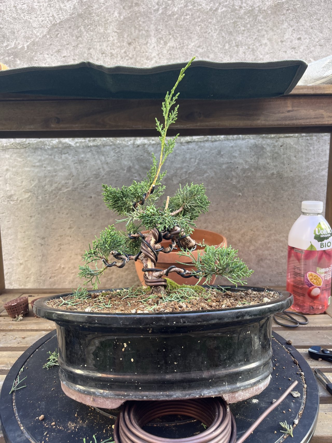 Photo 25