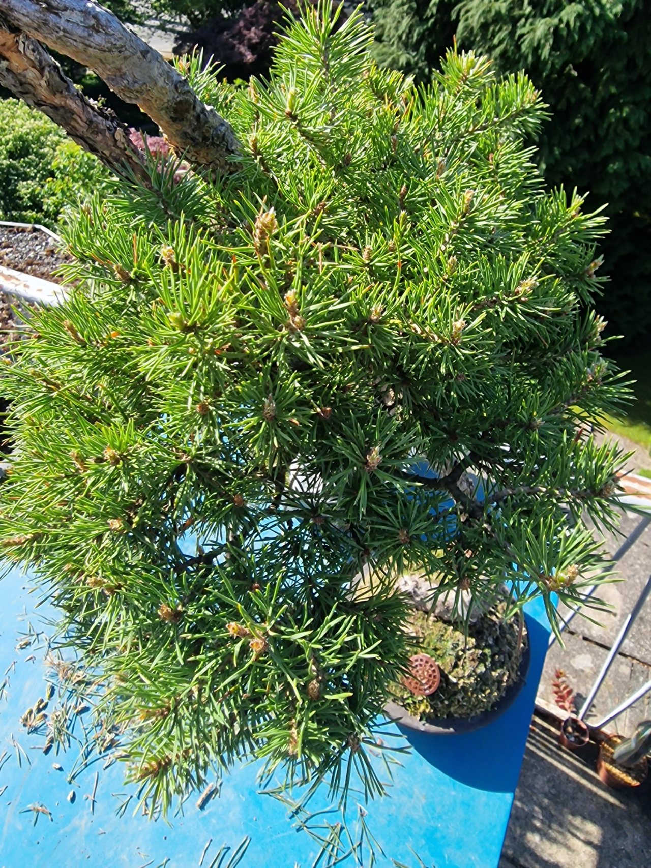 Photo 15