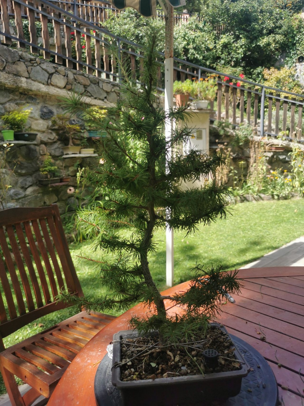 Photo 2