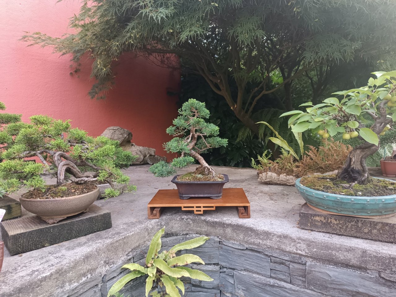 Photo 8