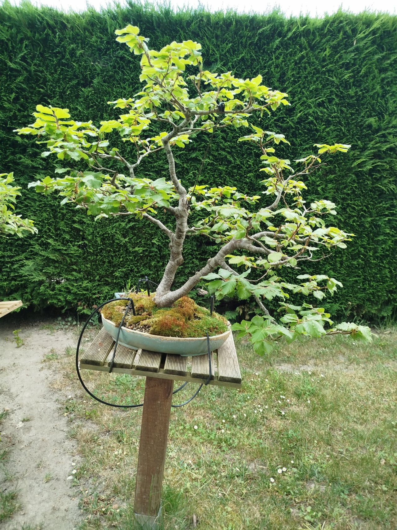 Photo 6