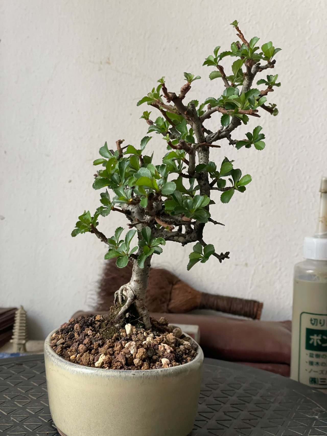 Photo 14