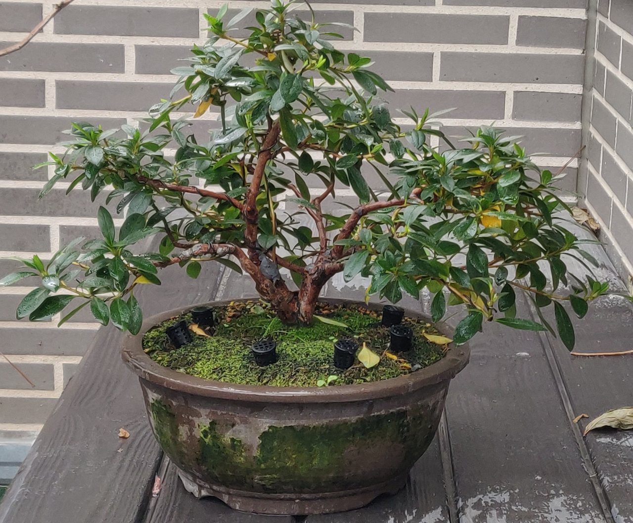 Photo 14